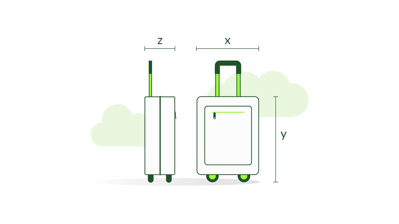 Traveling with hand baggage TAP Air Portugal