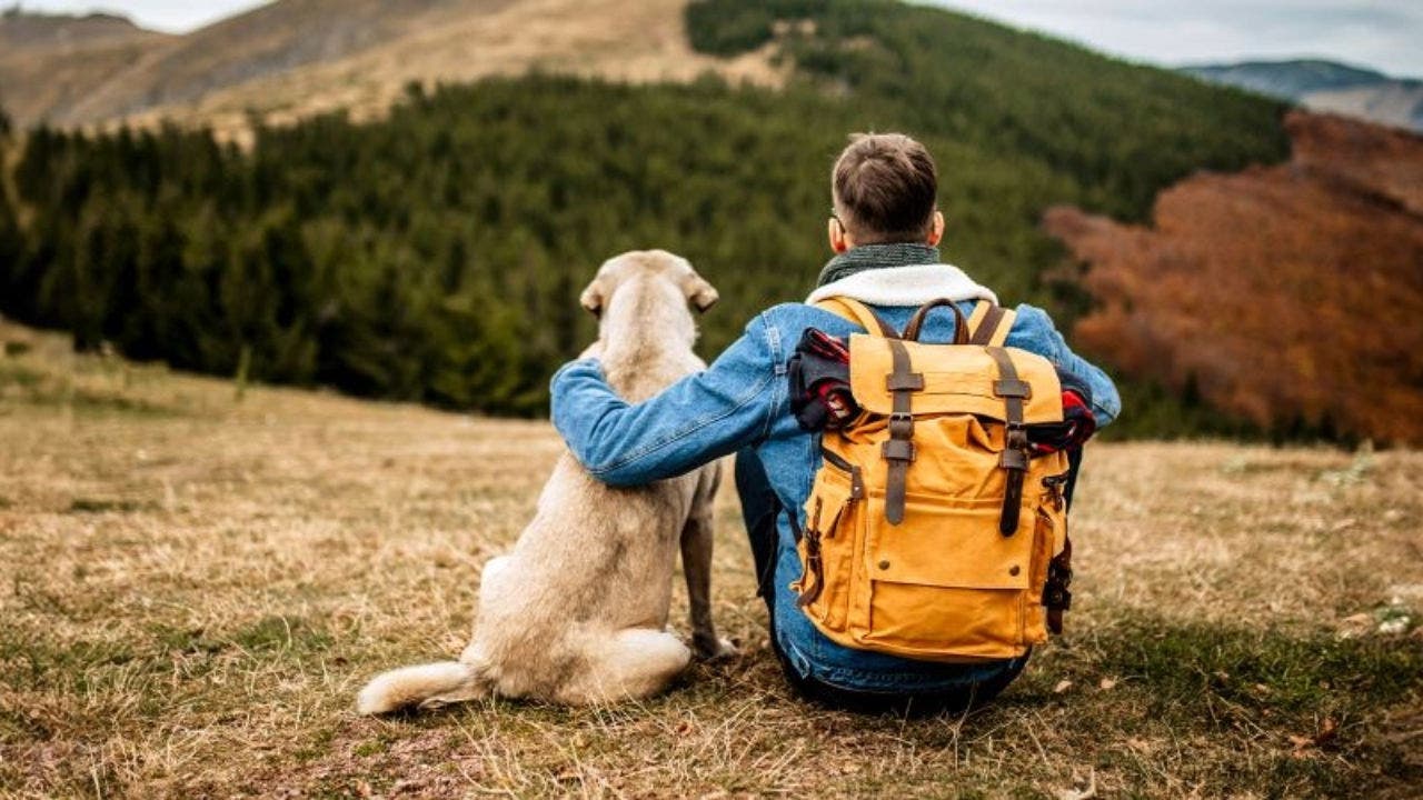 A imagem mostra um rapaz de costas, sentado, e um cão de grande porte ao seu lado, também sentado. Os dois apreciam a vista de densas montanhas. O rapaz tem uma mochila às costas e tem o seu braço esquerdo apoiado sobre o cão.