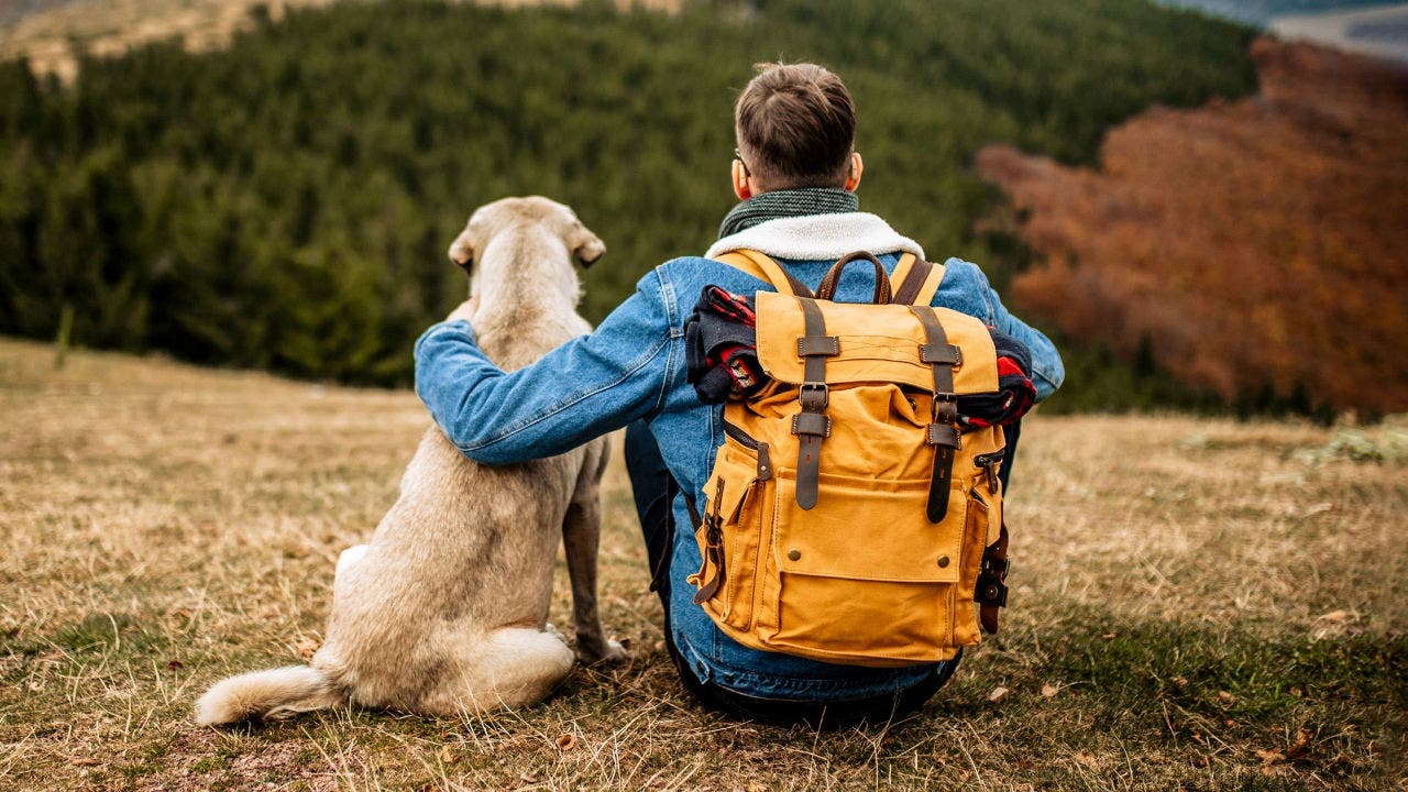 A imagem mostra um rapaz de costas, sentado, e um cão de grande porte ao seu lado, também sentado. Os dois apreciam a vista de densas montanhas. O rapaz tem uma mochila às costas e tem o seu braço esquerdo apoiado sobre o cão.