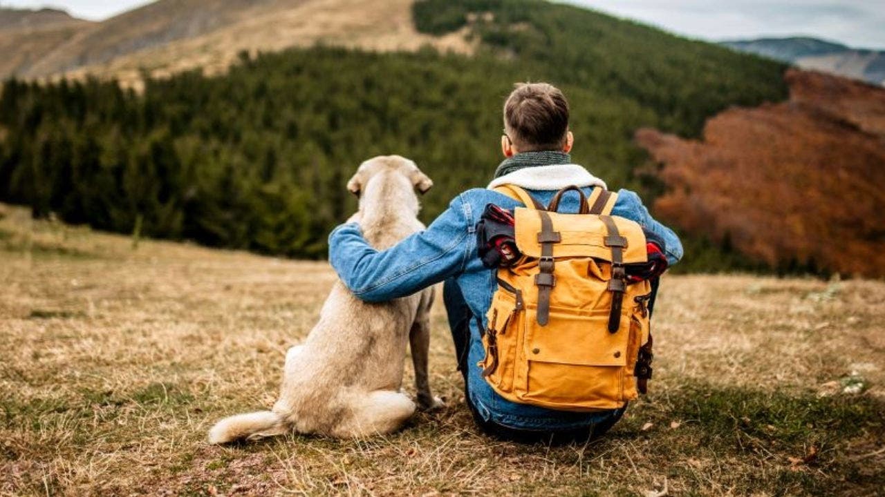 A imagem mostra um rapaz de costas, sentado, e um cão de grande porte ao seu lado, também sentado. Os dois apreciam a vista de densas montanhas. O rapaz tem uma mochila às costas e tem o seu braço esquerdo apoiado sobre o cão.